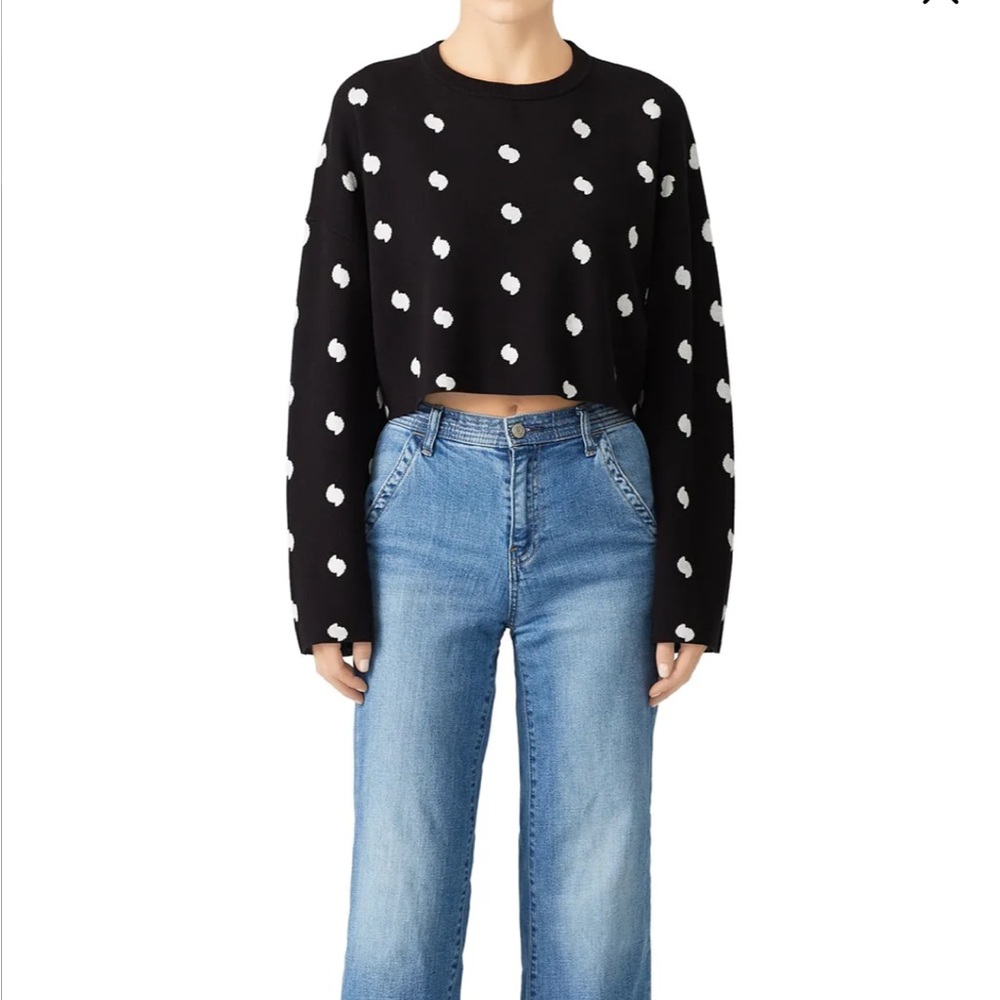 Current Elliot Weslan Crop Sweater
